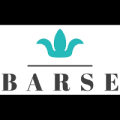 Barse Jewelry