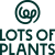 Lots of Plants